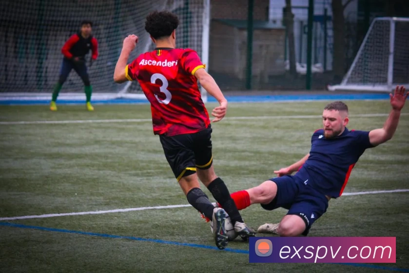 E星体育官网平台生态图