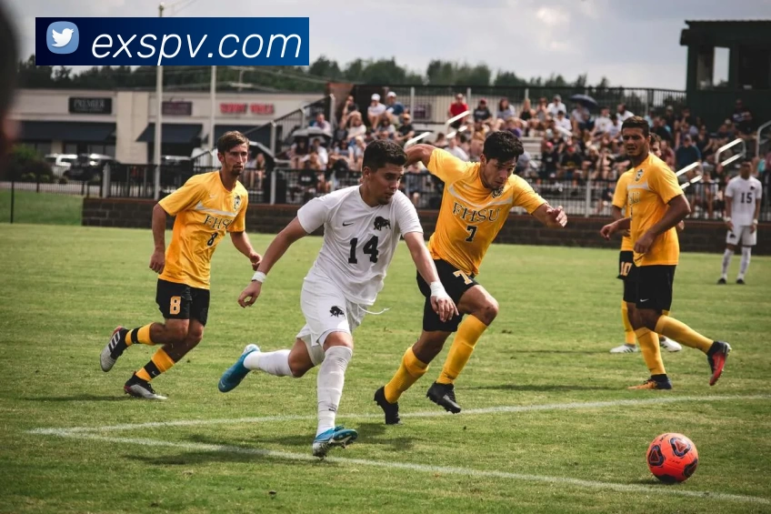 E星体育官网APP 封面图